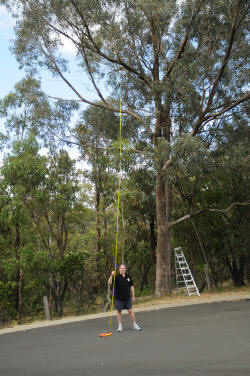 Xmas tree height