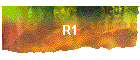 R1